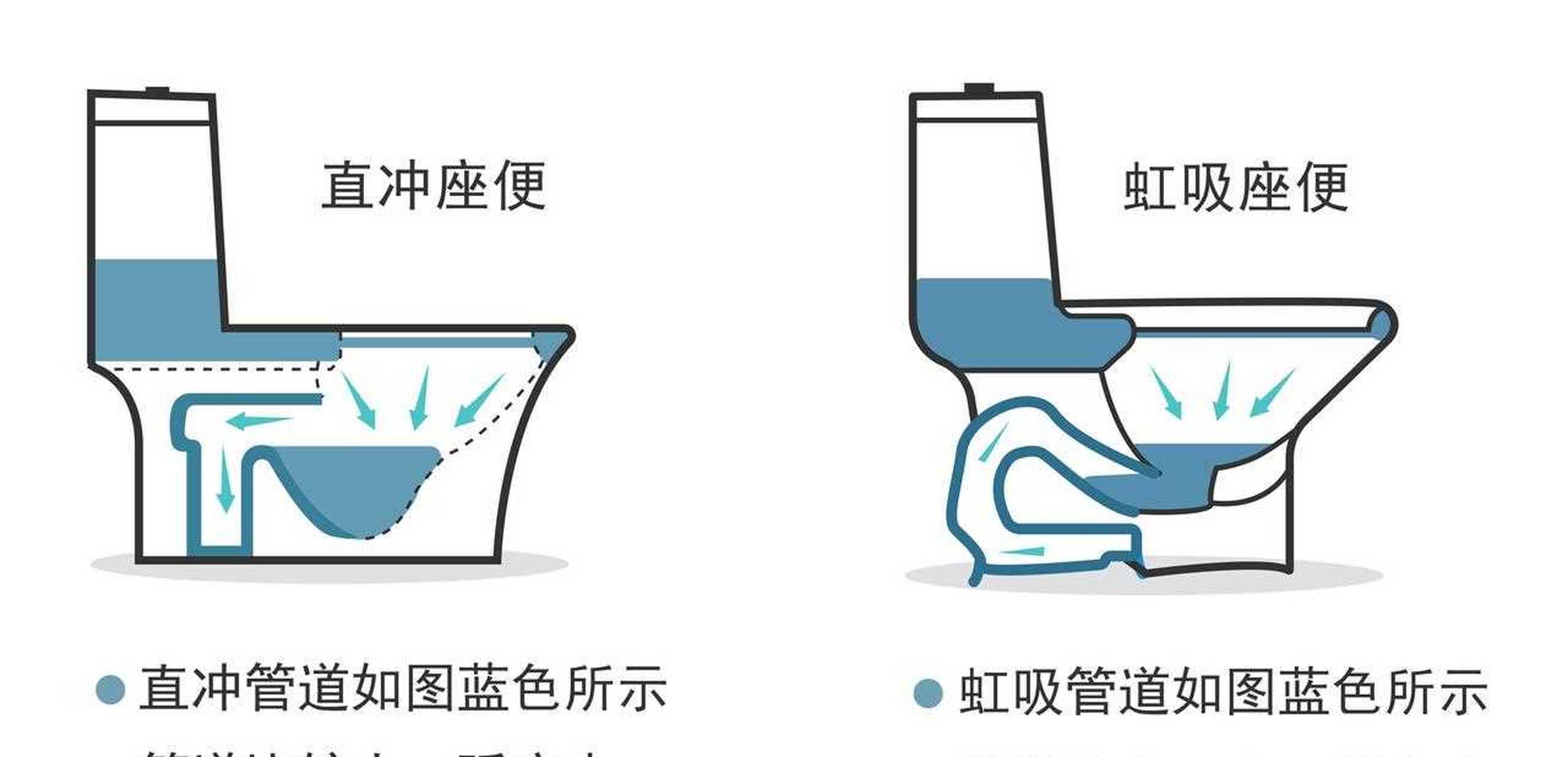 造型外形区别 造型外形区别在哪 