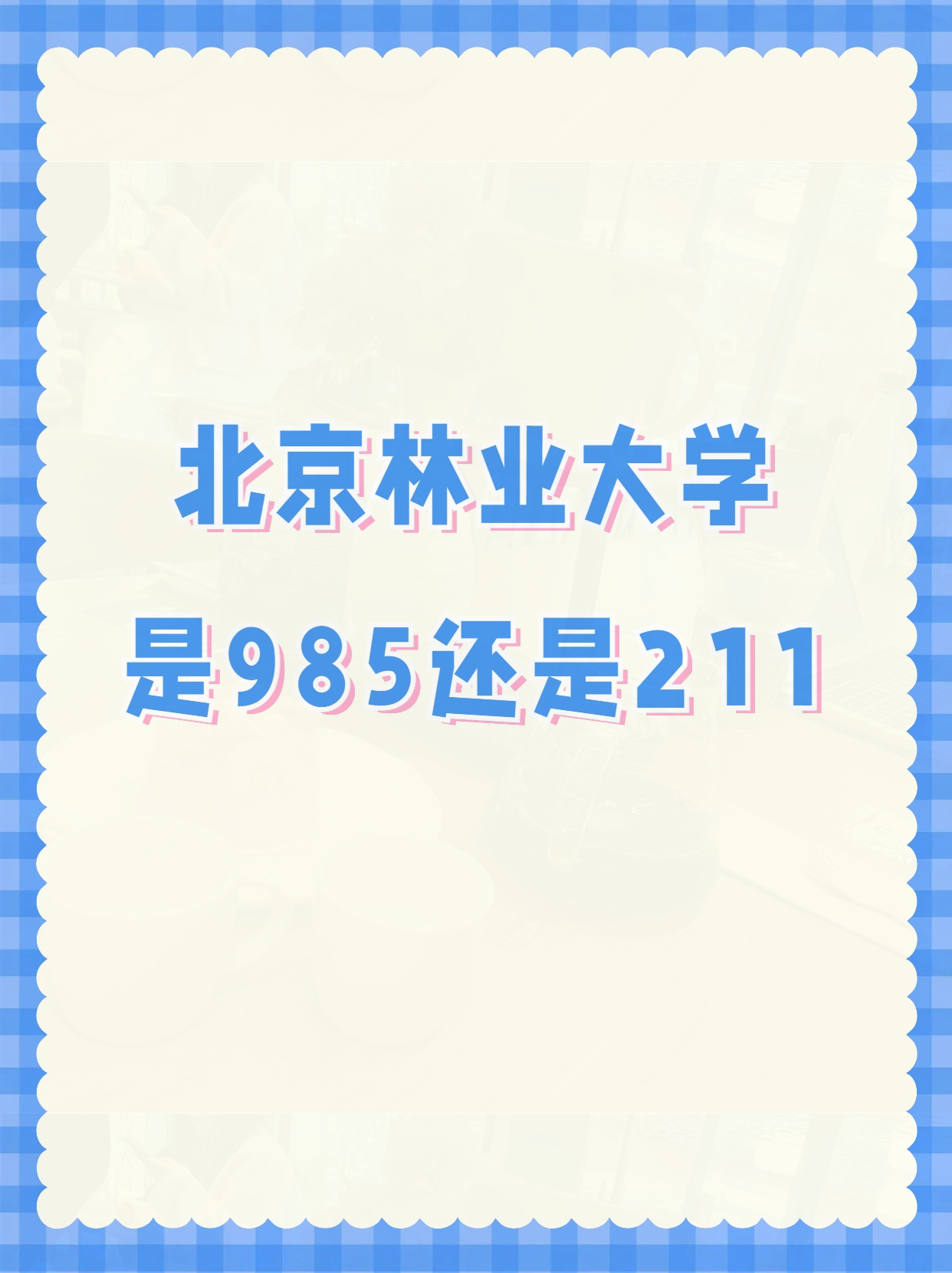 年轻力量崛起！青少年足球风云总决赛即将揭晓 