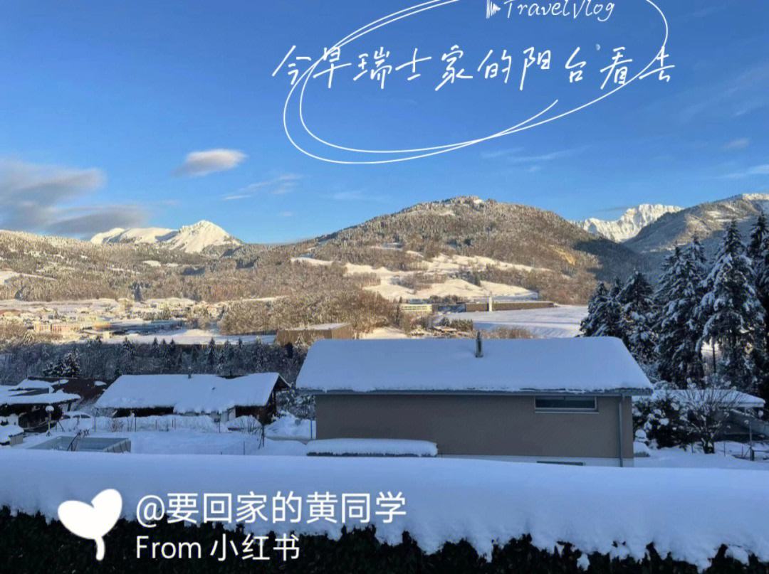包含瑞士惊险战胜冰岛，小组出线希望渺茫的词条