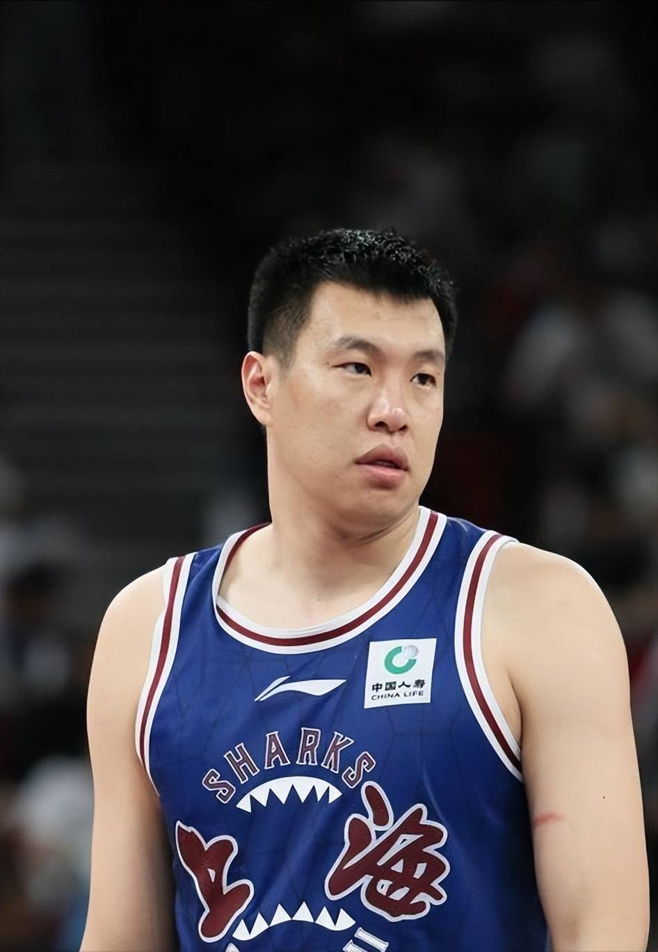 包含河南队内线球员表现突出，实力得到认可的词条